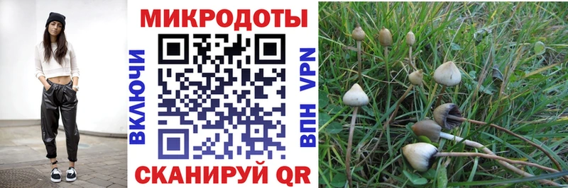Псилоцибиновые грибы Magic Shrooms  Киренск 